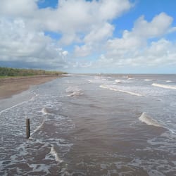 Private beach, free beach shuttle