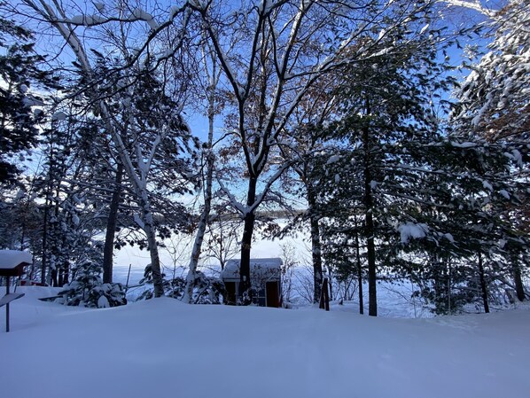 Paisagem coberta de neve com árvores e uma cabana pequena.