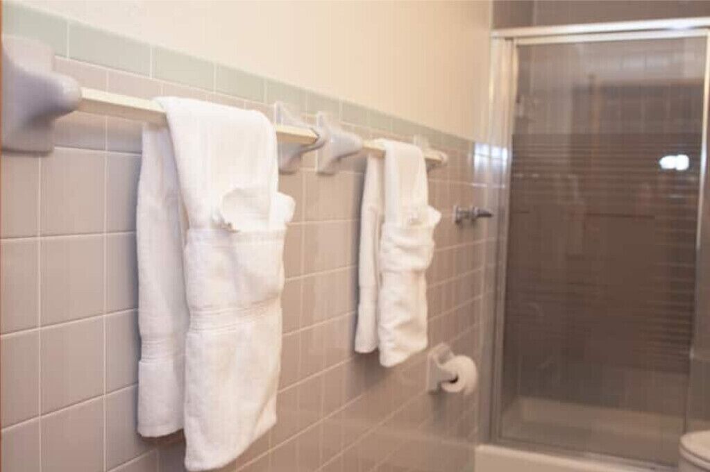 Ein Badezimmer mit Duschkabine aus Glas, Toilette und Handtuchhalter mit mehreren weißen Handtüchern.