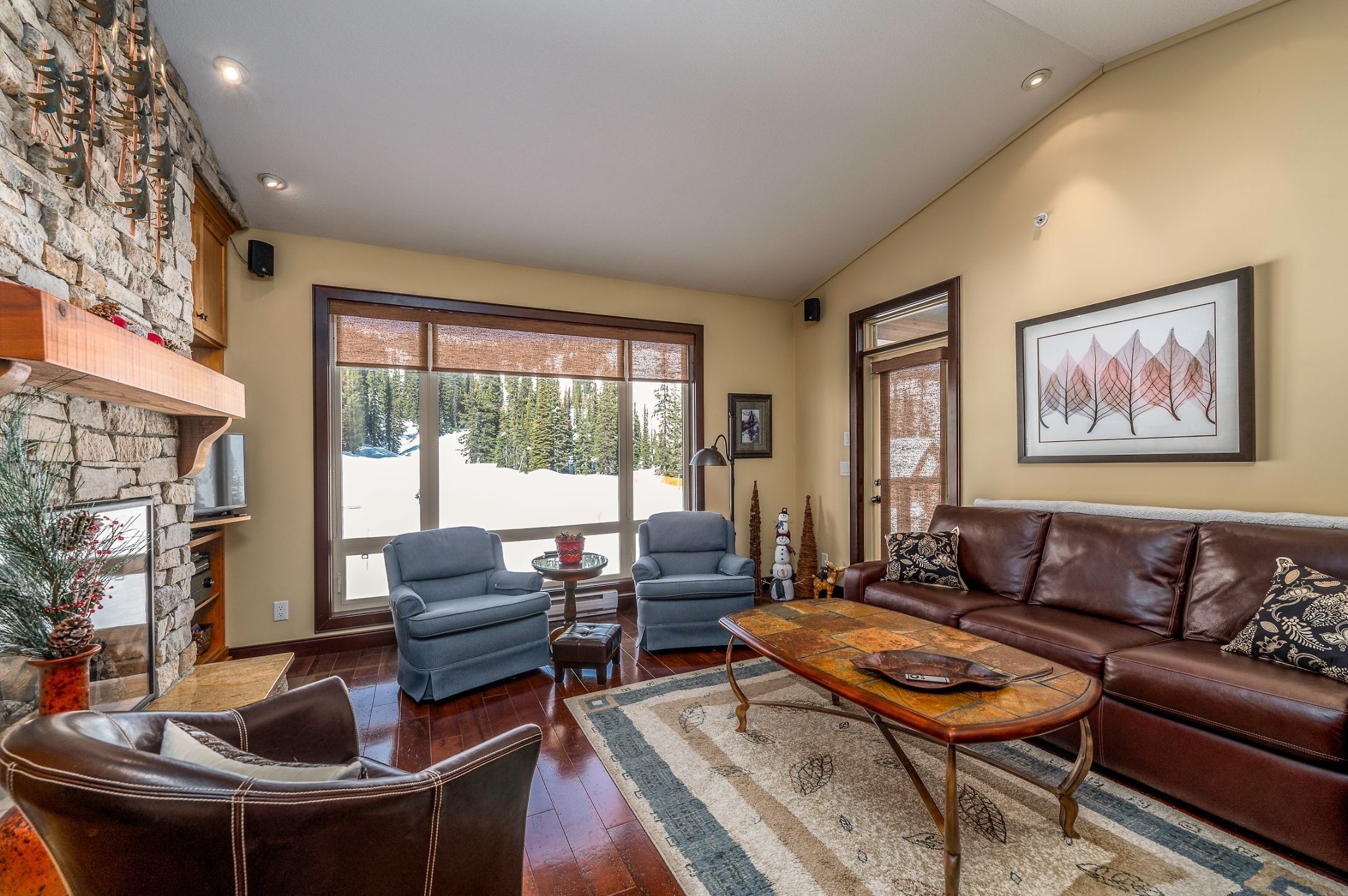 TV connectée, cheminée, lecteur de DVD