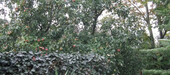 Casa de vacaciones "Ockholm" sencilla y rural