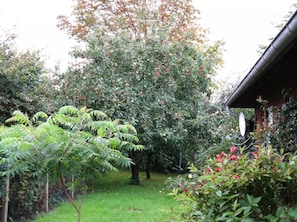 A garden with a variety of trees and shrubs, a fenced area, and a building with a sloped roof.