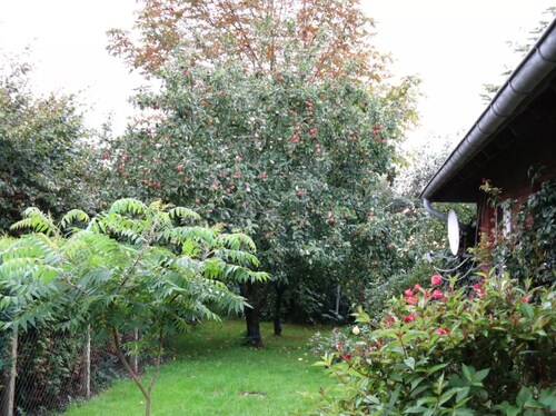 Holiday Home "Ockholm" Simple and Rural