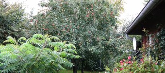 Holiday Home "Ockholm" Simple and Rural