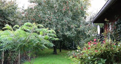 Holiday Home "Ockholm" Simple and Rural