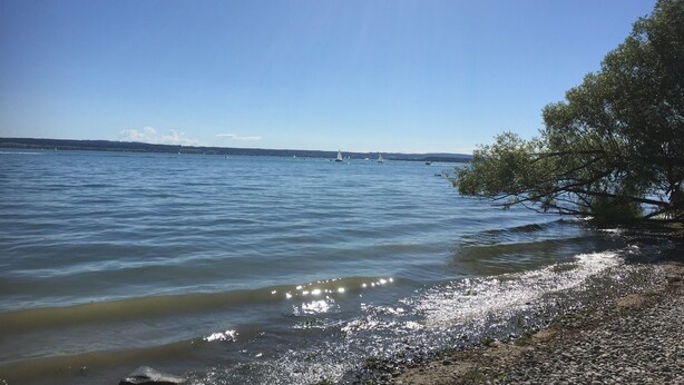 A calm lake with boats, a clear sky, and a tree on the right. - Apartment 'Gästehaus Wüpping 1' with Shared Terrace, Shared Garden and Wi-Fi (Salem)