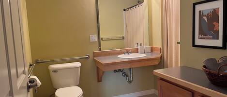 Une salle de bain équipée de toilettes, d’un lavabo, d’un miroir et d’un rideau de douche.
