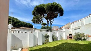 A courtyard with a large tree, white walls, and a small outdoor oven.