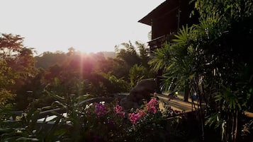 Jardines del alojamiento