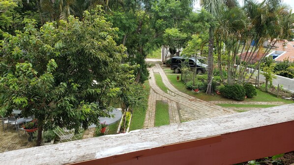 A paved pathway leading to a parked car, surrounded by lush greenery and potted plants.