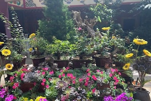 Un jardin agrémenté de diverses plantes et fleurs, une structure en bois et une statue.