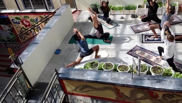 Eine Gruppe von Menschen praktiziert Yoga auf einem Dach mit einer Zierwand und Blumentöpfen.