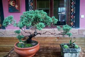 Un bonsái en una maceta de terracota, un bonsái más pequeño en una maceta de piedra y un banco de madera al frente.