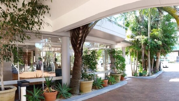 Un espacio al aire libre techado con plantas en macetas, un sendero de ladrillo y un edificio de cristal con reflejos.