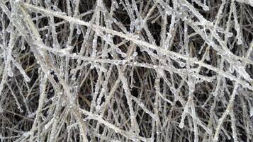 A close-up of a tangled, frosty branch structure.