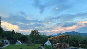 A campsite with tents, a pool, and a thatched-roof structure.