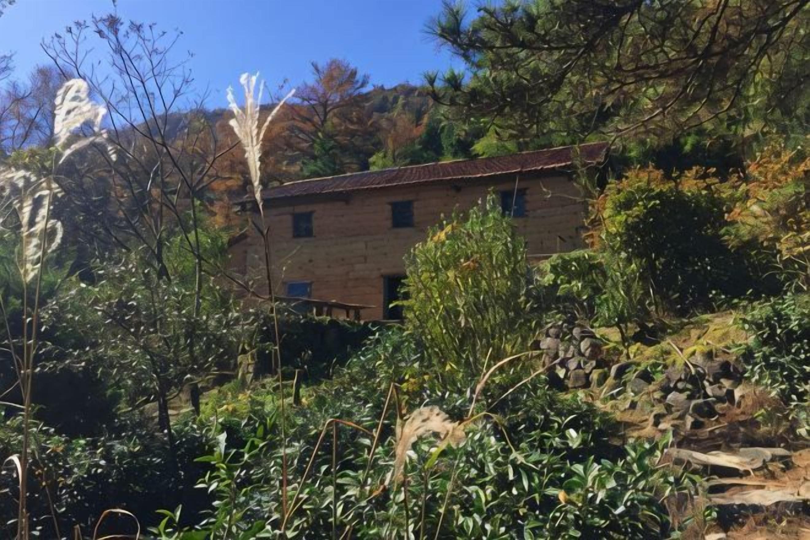 A stone building with a flat roof, surrounded by dense vegetation and a clear sky.