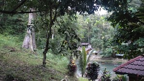 Un paisaje verde y exuberante con un río, árboles y algunos edificios pequeños con tejados rojos.