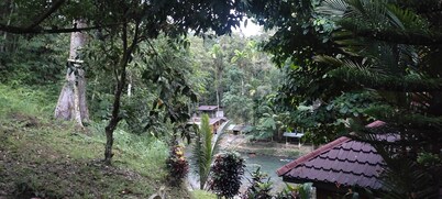 Batu Katak Gibbon guesthouse 
