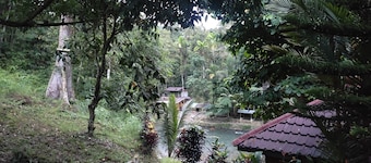Batu Katak Gibbon guesthouse