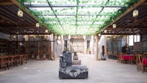 A spacious hall with a central decorative platform, wooden furniture, and a ceiling covered with green foliage. - Mount Hua Hongchen Xiake Themed Homestay (Huayin)