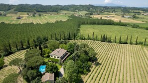 Eine Vogelperspektive zeigt ein Weinberg mit Reihen von Weinreben, ein Haus, das von Bäumen umgeben ist, und einen Swimmingpool.