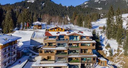 Accommodation with sauna near the ski lift