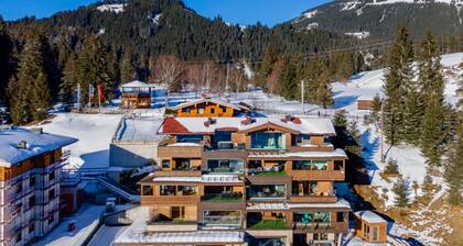 Accommodation with sauna near the ski lift