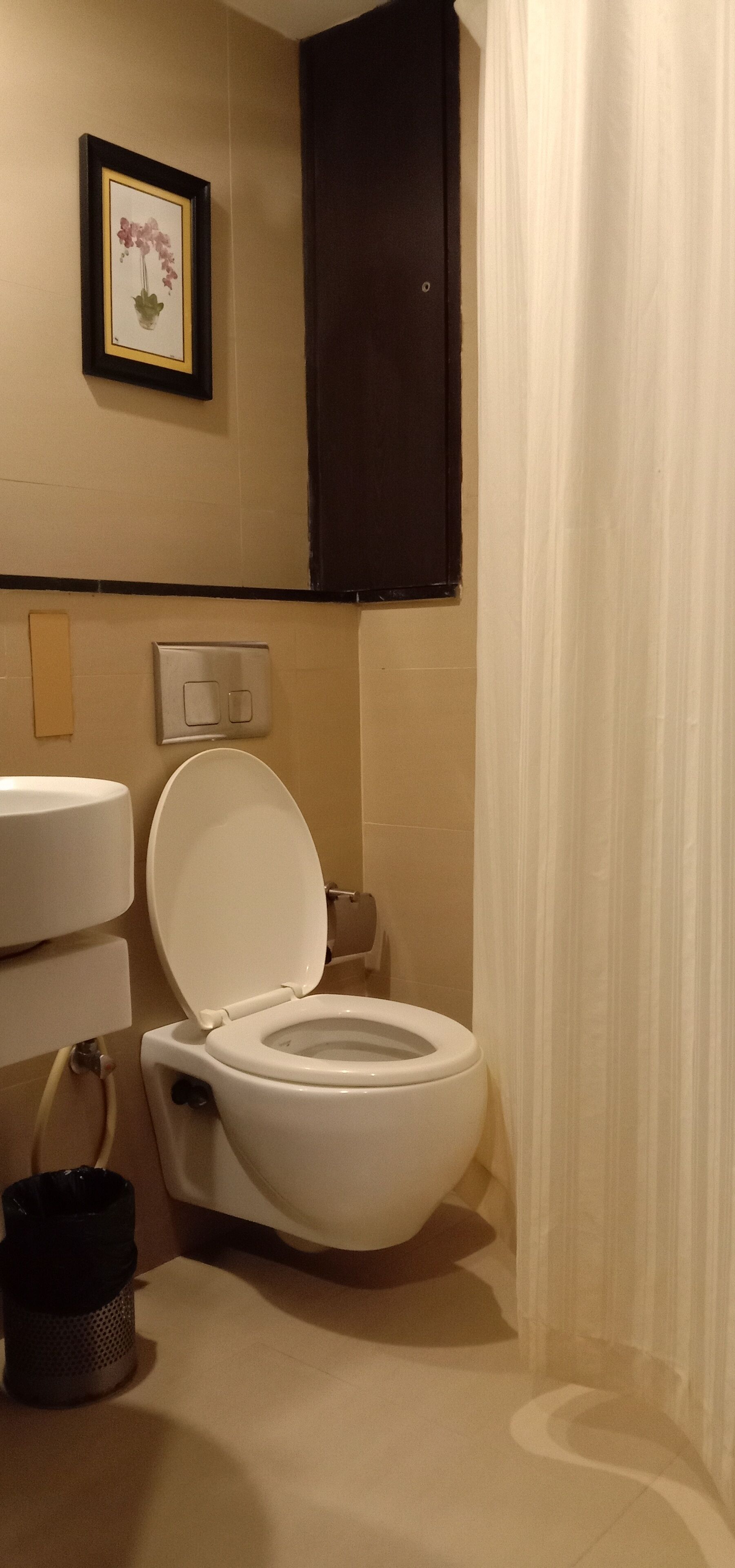 A bathroom with a toilet, a sink, a framed picture on the wall, and a dark cabinet.