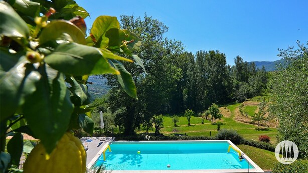 A clear blue swimming pool with a view of a lush green landscape and trees in the background. - The vacation home is nestled in the Tuscan countryside with a private pool (Gallicano)