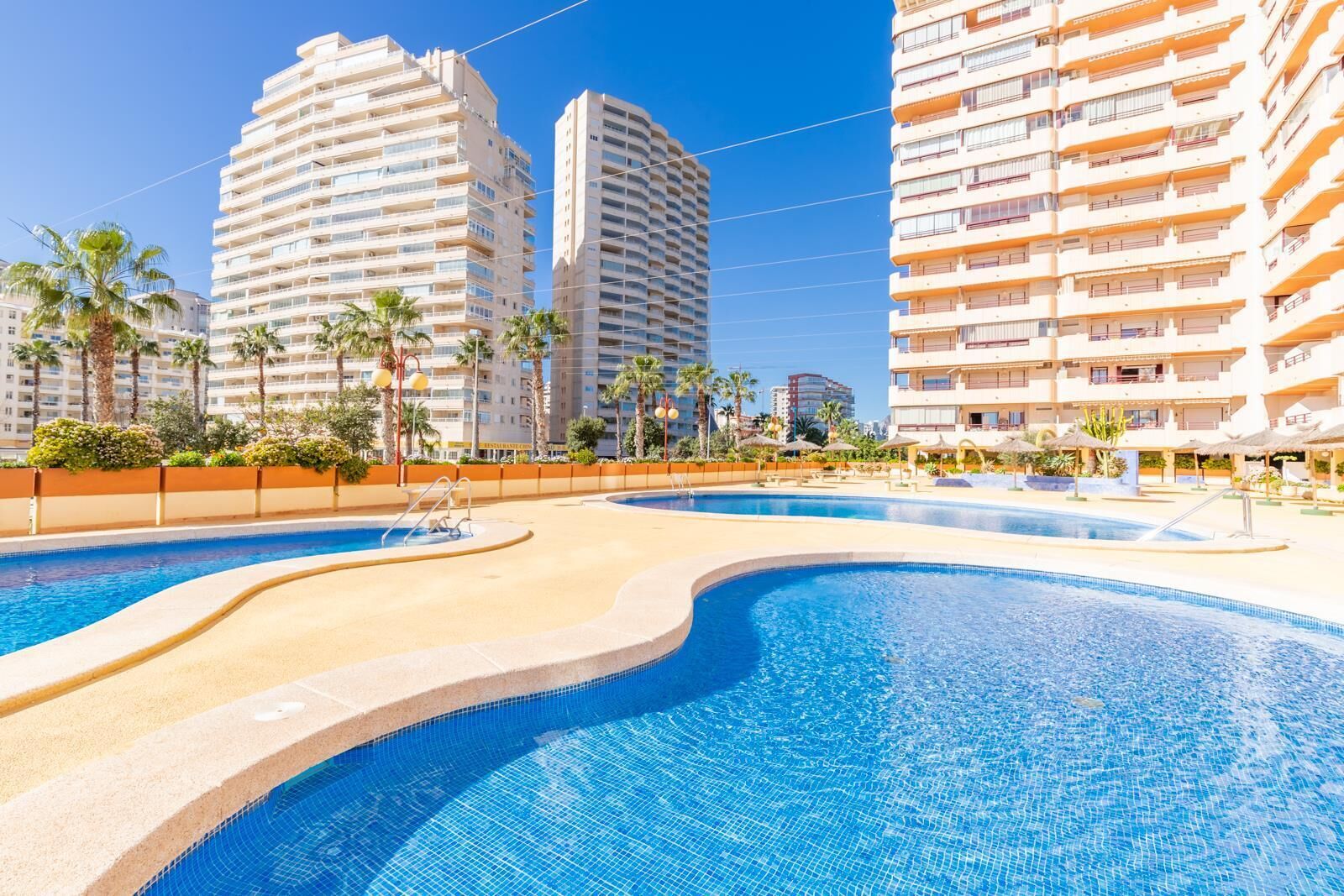 A swimming pool with a curved design, surrounded by palm trees and modern buildings.