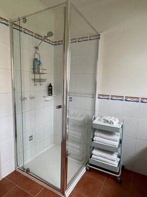 Hair dryer, towels, soap, shampoo