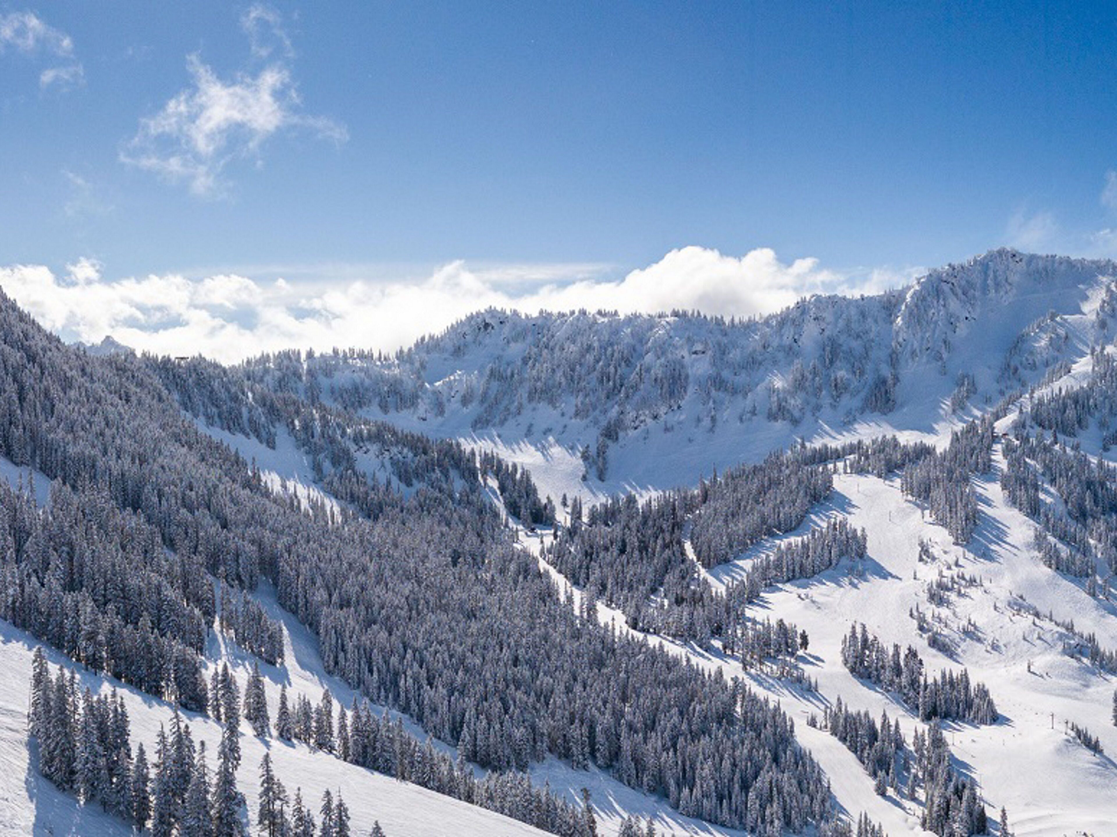 Un paisaje montañoso cubierto de nieve, con bosques densos y cielos despejados.