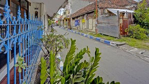 Una calle estrecha flanqueada por edificios, algunos con techos de lámina corrugada y otros con tejas. A la izquierda, una cerca de metal azul, y en primer plano, algunas macetas con plantas.