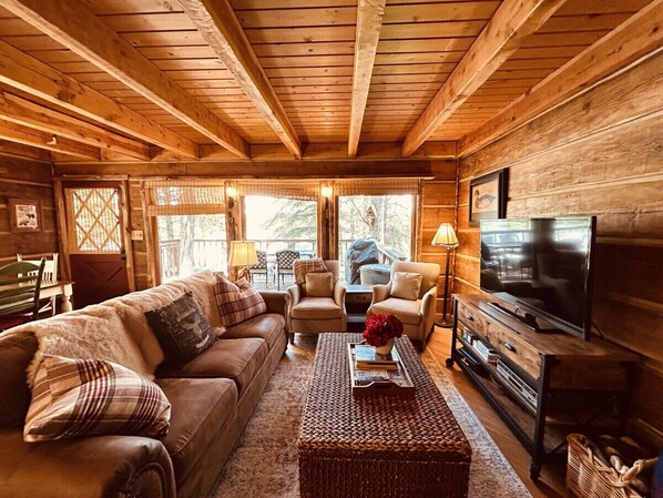 Télévision, cheminée, lecteur de DVD, livres