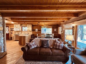 Télévision, cheminée, lecteur de DVD, livres