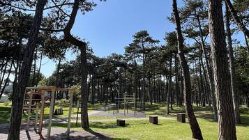 Terrain de sport