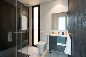 Hair dryer, towels, soap, shampoo