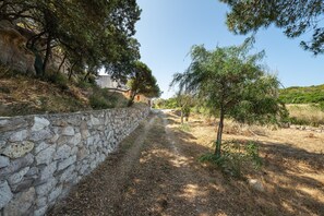 A stone wall, a dirt path, and trees.