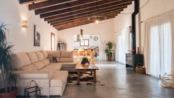 Télévision, cheminée