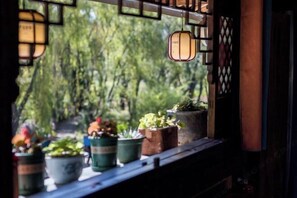 Un rebord de fenêtre orné de divers pots de plantes et de lanternes suspendues.
