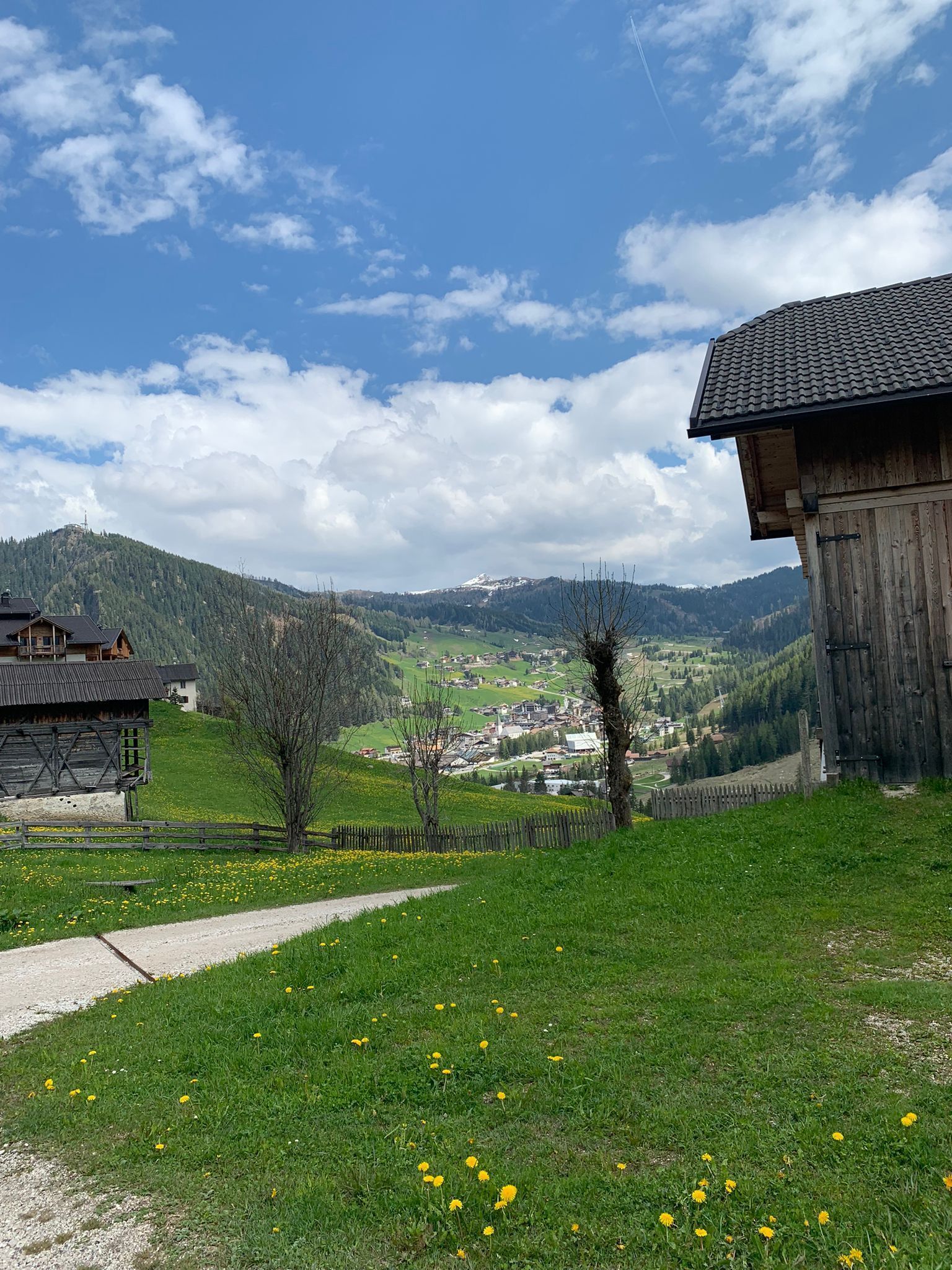 A rural landscape with a wooden building, a stone house, and a path leading through a field of yellow flowers.