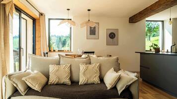TV, fireplace, books, offices