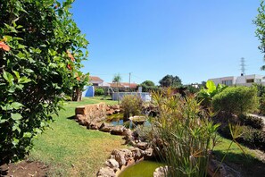 Un jardín con un estanque, rocas y diversas plantas.