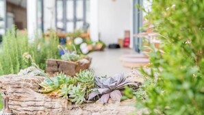 A pathway lined with various succulents and plants, leading to an outdoor seating area with tables and chairs. - Amila Guesthouse (Dali City)