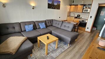 Fernseher, Stereoanlage