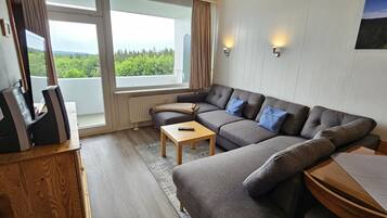 Fernseher, Stereoanlage