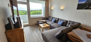 Fernseher, Stereoanlage