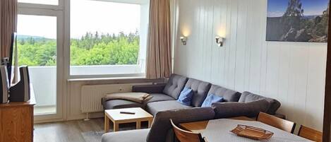 Télévision, chaîne hi-fi