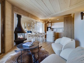 Fernseher, Kamin